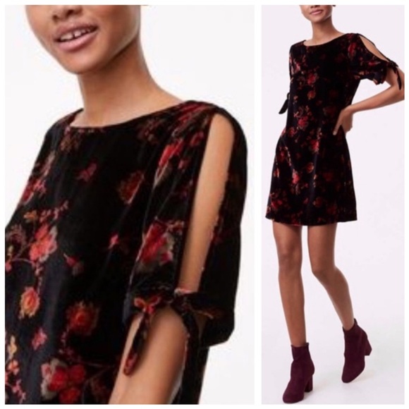 LOFT Dresses & Skirts - 🔥NWT LOFT Floral Velvet Cold-Shoulder Shift Dress
